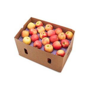 Apple Royal Gala Box Just Fresh UAE