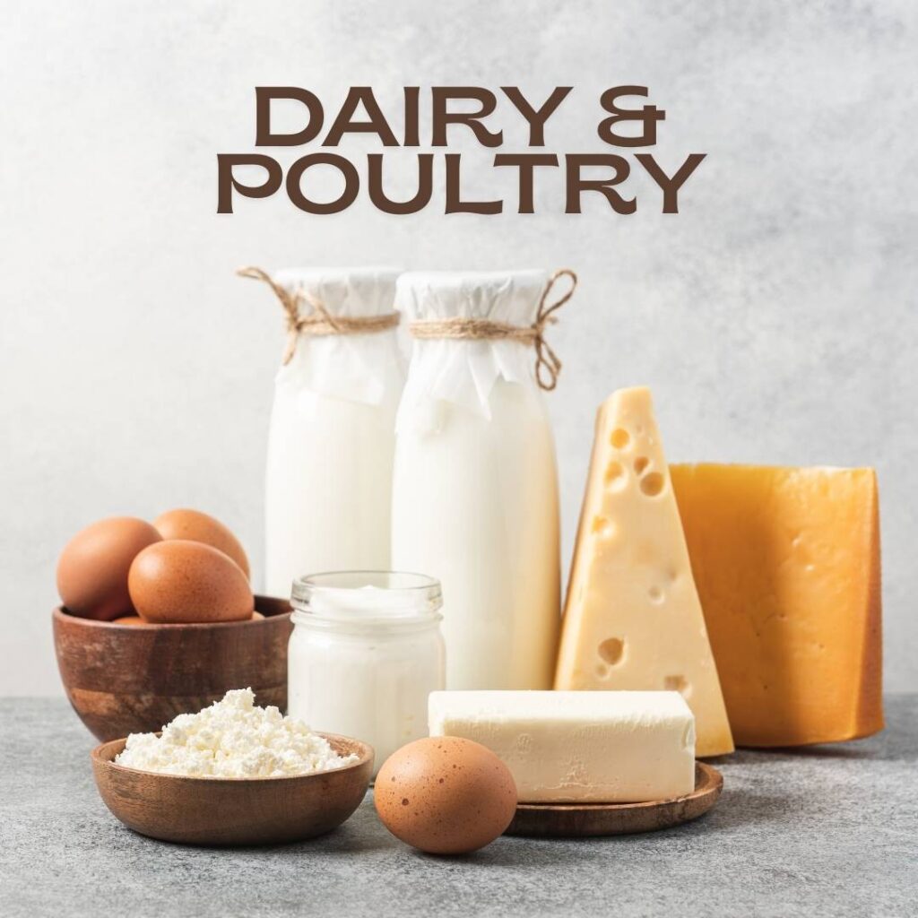 Dairy and Poultry Just Fresh UAE