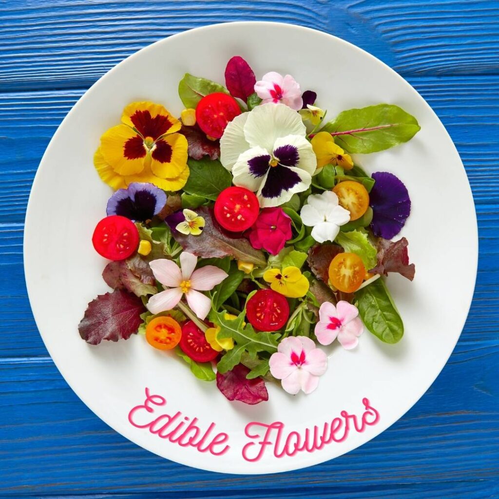 Edible Flowers Just Fresh UAE