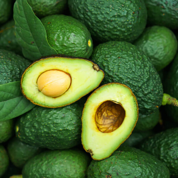 Avocado Green Fuerte