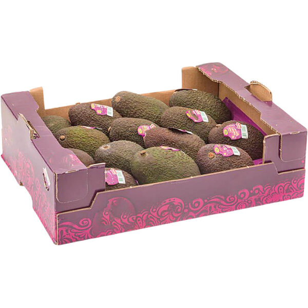 Avocado Hass