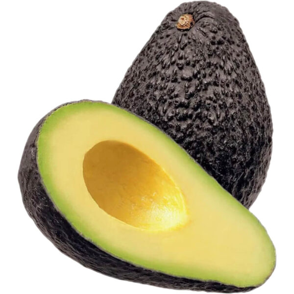 Avocado Hass