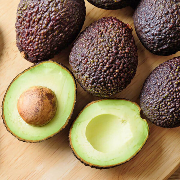 Avocado Hass