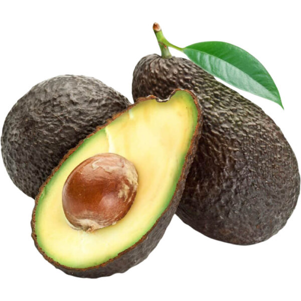 Avocado Hass