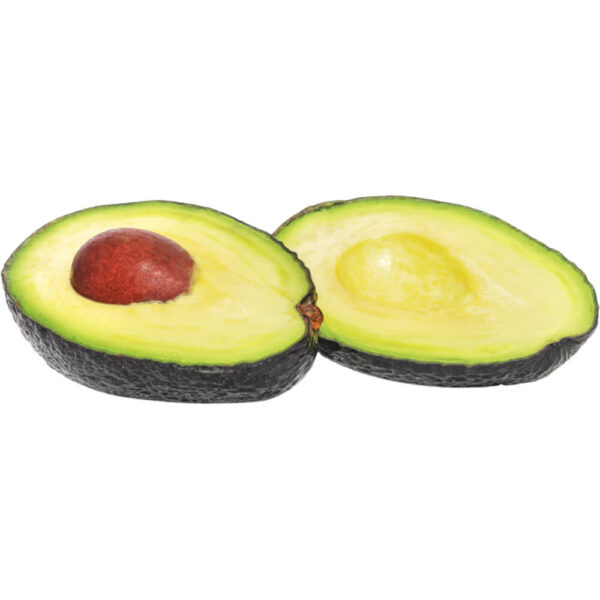 Avocado Periban Mexico