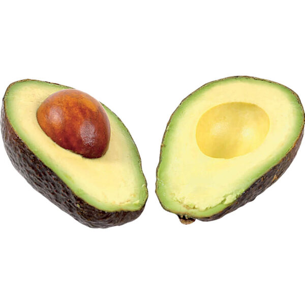 Avocado Periban Mexico