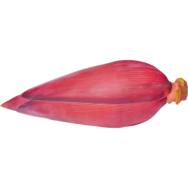 Banana Blossom Flower