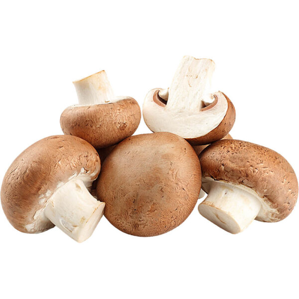Button Mushroom Brown