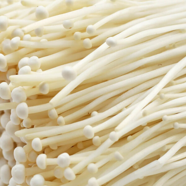 Enoki Mushroom