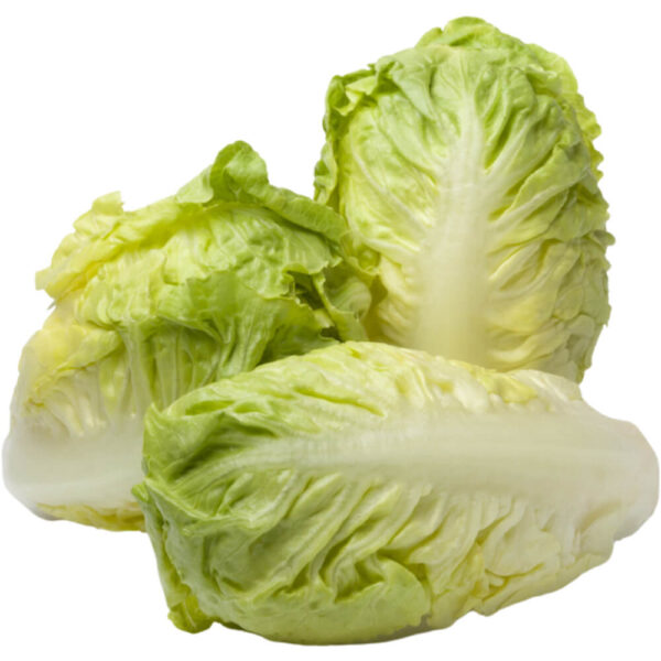 Lettuce Gem