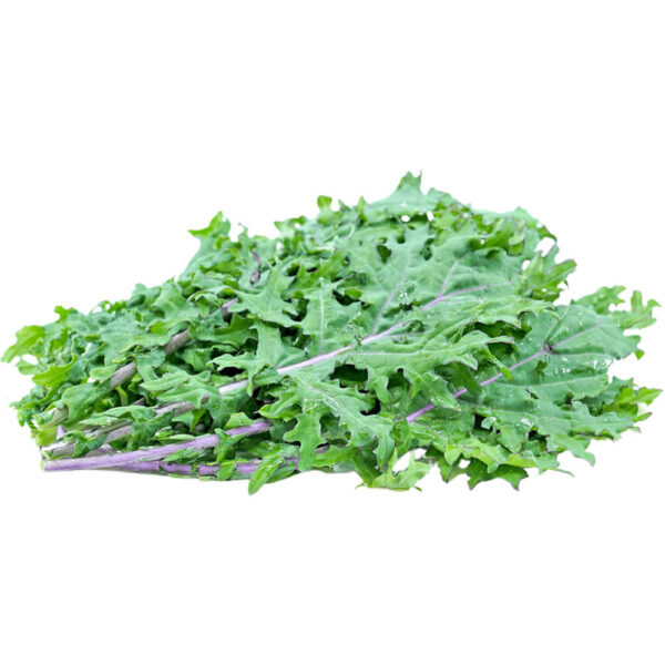 Red Russian Kale