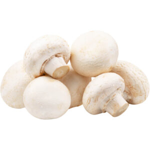 White Baby Button Mushroom