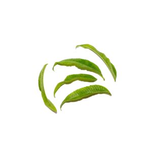 Verbena Leaves 10Pcs Clear Pet Box