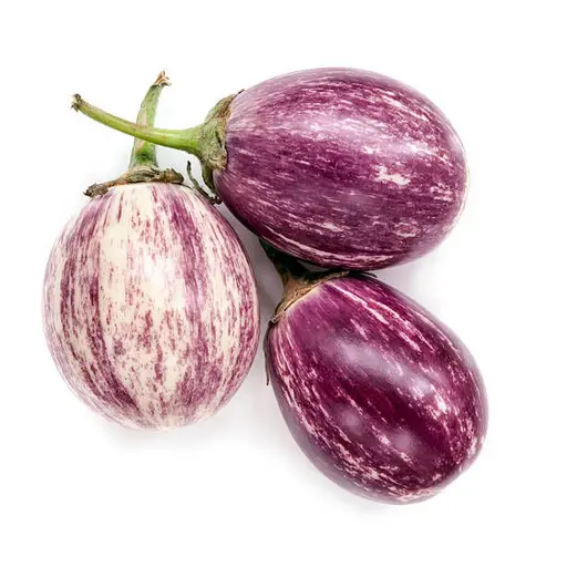 Purple Eggplant