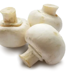 White Mushroom