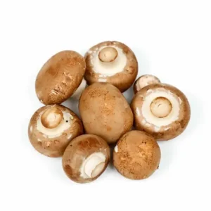 Brown Mushroom