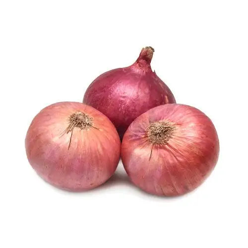 Onion Red