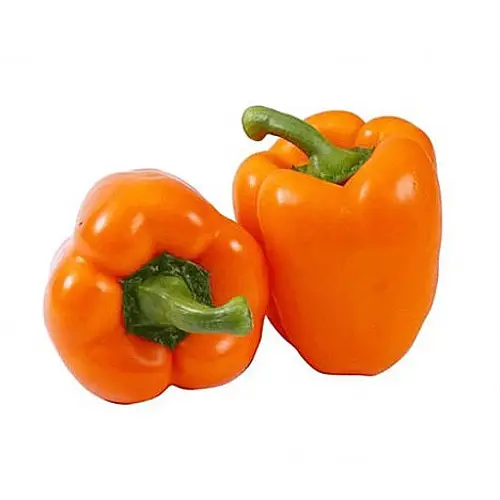 Capsicum Orange