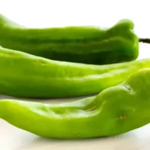 Capsicum Green Long