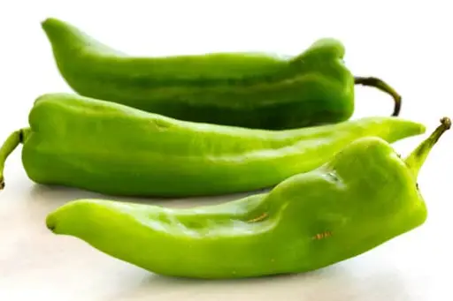 Capsicum Green Long