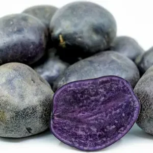 Purple Potato