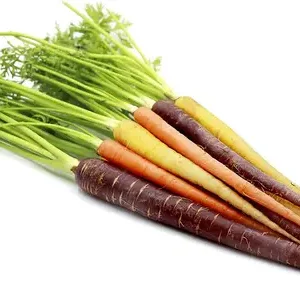 Baby Carrot Rainbow