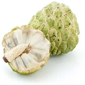 Custard Apple