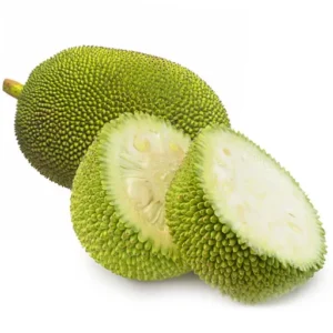 Jackfruit