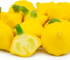 Patty Pan Yellow