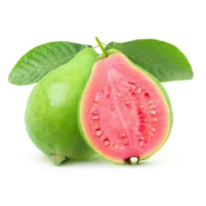 Guava Pink