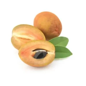 Chikoo Sapodilla
