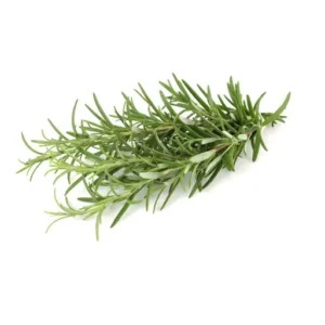 Rosemary Leaves
