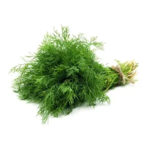 Dill Leaves