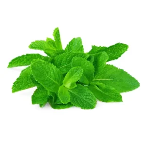 Mint Leaves