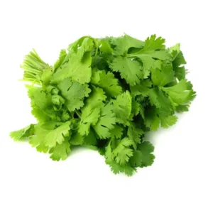 Coriander