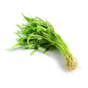Kangkong
