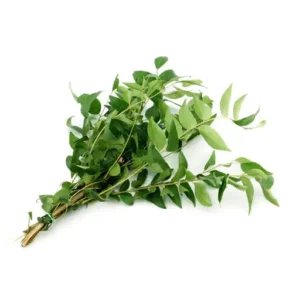 Curry Leaves