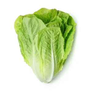 Lettuce Romaine