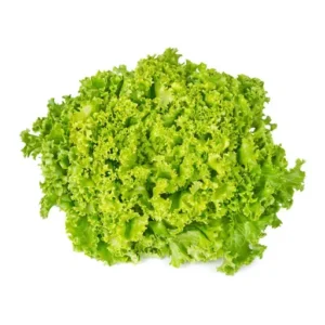 Lettuce Lollo Bionde