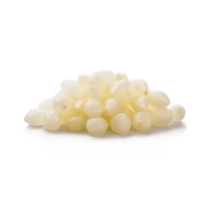 Onion White Pearl