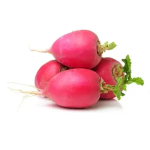 Radish Red