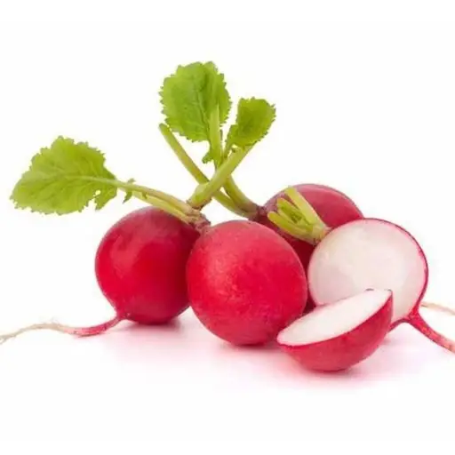 Baby Red Radish