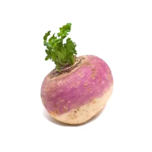 Turnip