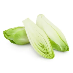 Chicory White