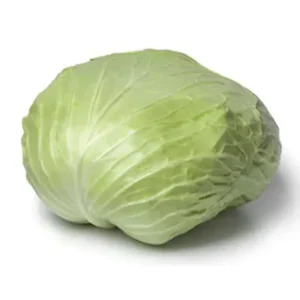 Flat Cabbage