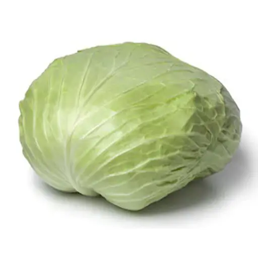 Flat Cabbage