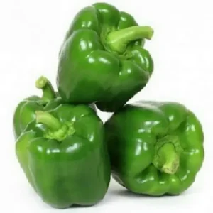 Capsicum Green