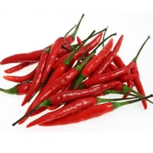 Chilli Red Long