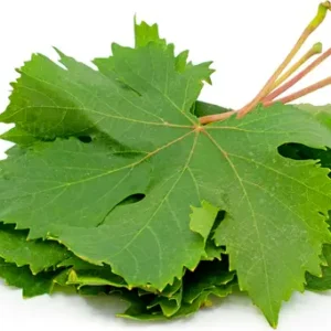 Grape Leaves