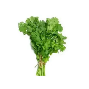 Coriander Leaves